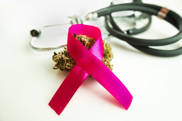 Image of a stethoscope and a cannabis bud.